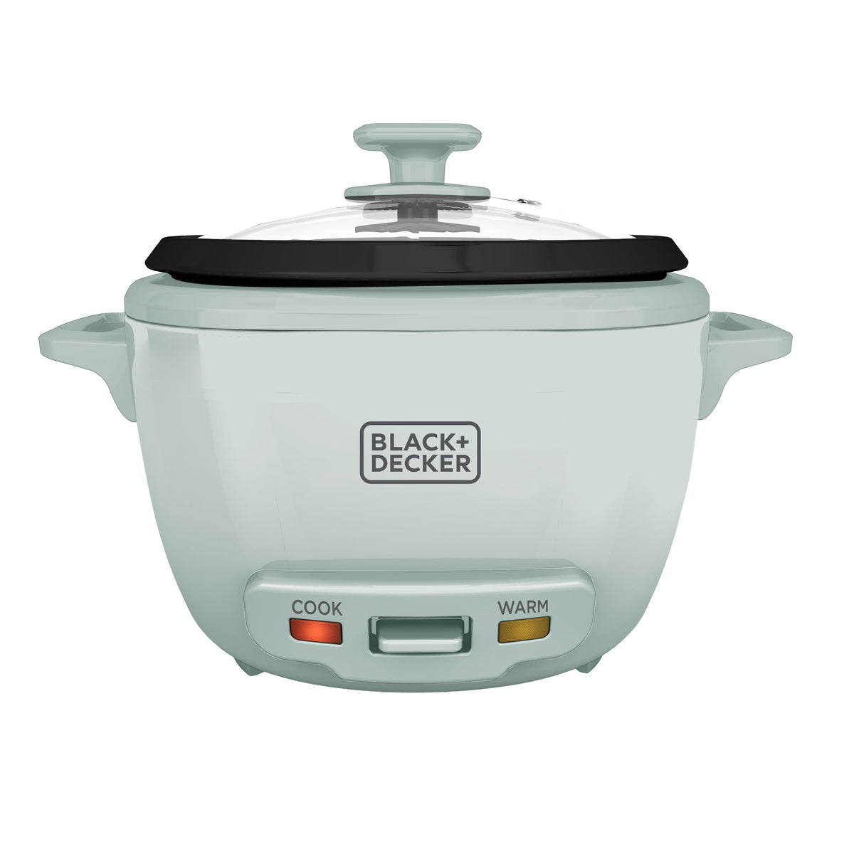 BLACK+DECKER 16-Cup Rice Cooker with Steaming Basket, Surf Spray