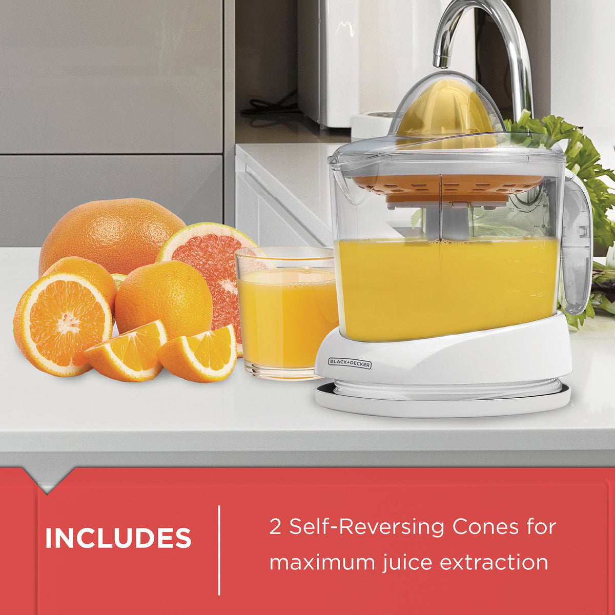 Citrus Juicer